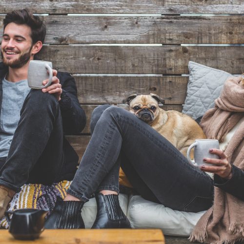 Types of Trusts for Your Pets
